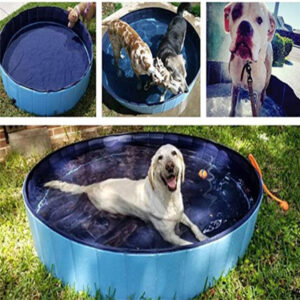 Pet Pool Dog Swimming Pool Foldable